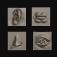 1.png Archivo STL gratis Características faciales・Diseño de impresora 3D para descargar