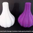 0ccb968f01f484311193944376ff8763_display_large.jpg Vented Garlic Storage Container