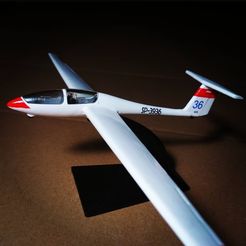 twin-astir2.jpg STL file Grob G103 Twin Astir Glider / Sailplane miniature・3D printer model to download