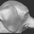 7.jpg Puppy of Dachshund dog head for 3D printing