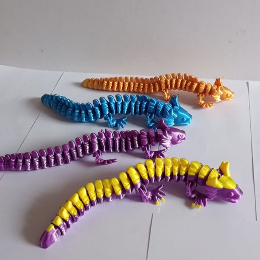 d9c05ace-6c0e-484c-9218-396c559c22b8.jpg Nice Axolotl Flexi