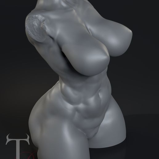 3.jpeg Динамический женский торс