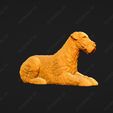 208-Airedale_Terrier_Pose_08.jpg Airedale Terrier Dog 3D Print Model Pose 08