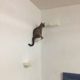 IMG_0997.JPG cat step stairway - concealed wall mounting