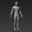 2.png Anatomically correct muscular male body Low and High Poly Low-poly 3D model