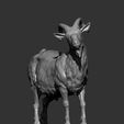 Goat7.jpg Goat 3D print model