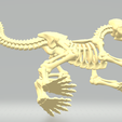 Velociraptor-fossil4.png Velociraptor fossil
