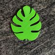 IMG_20210215_173112.jpg Fichier 3D Collection de feuilles de Monstera・Objet pour impression 3D à télécharger