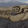 esqueleto5.png Mosasaur Skeleton