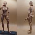 skin.jpg Action Figure 3D Printing, Female Movable body Action Figure Toy Model Draw Mannequin [STL file]