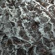 10.jpg Lichen 8K PBR Texture