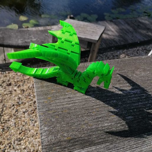 dragon 4.jpg Dragon Flex