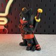 IMG_4850.jpg Ninja Cat