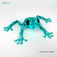 380255121_1767248943708772_9010780148699957649_n.jpg Articulated Poison Dart Frog