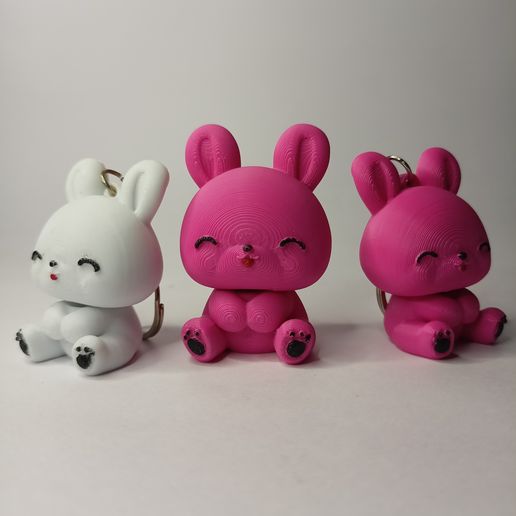 IMG20250619111240.jpg 🐰 Chibi Bunny Buddies - Modèles imprimés en 3D + Porte-clés