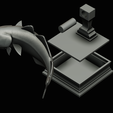 coalfish-open-mouth-statue-box-83.png COALFISH / POLLACHIUS VIRENS trophy with storage space for 3d printing