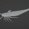 Jaekelopterus3D_02.jpg Sea scorpion (Jaekelopterus rhenaniae)