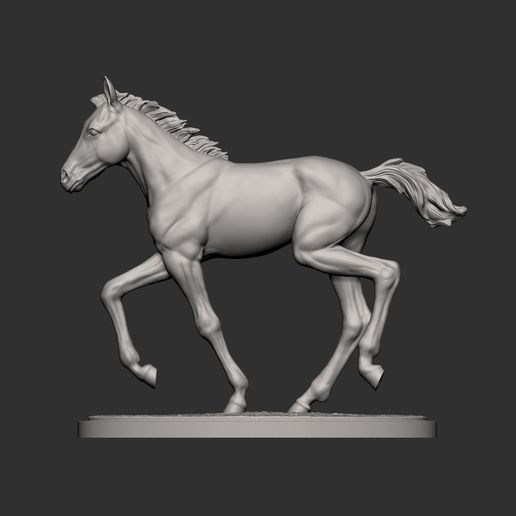 foal-is-running13.jpg El potro corre