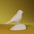 0005.png Canary