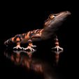 GoniurosaurusSzeneDark10.jpg Archivo 3D Japanese Cave Gecko-Goniurosaurus orientalis-STL with Full-Size-Texture-High-Polygon- 3D Model incl. Zbrush- Originals・Diseño de impresión en 3D para descargar