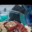 WhatsApp-Image-2021-06-13-at-17.31.42.jpeg STL file Hamster's house - Hamster's house・3D printable model to download