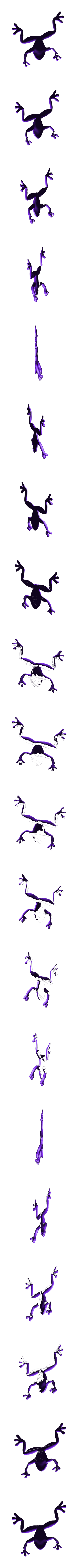 frog_bottom.stl Лягушка на ветках - разноцветный