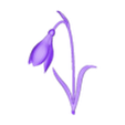 01-January-Snowdrop_1.stl Birth Month Flowers Set Bas Relief 3D Model