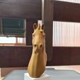 20220330_170734.jpg STL file Horse Head/Bust・3D print design to download