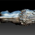 LION-3D-6.jpg lion statue full 3d