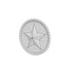 0196_StarCoin_W_0000.jpg Gold Star Coin