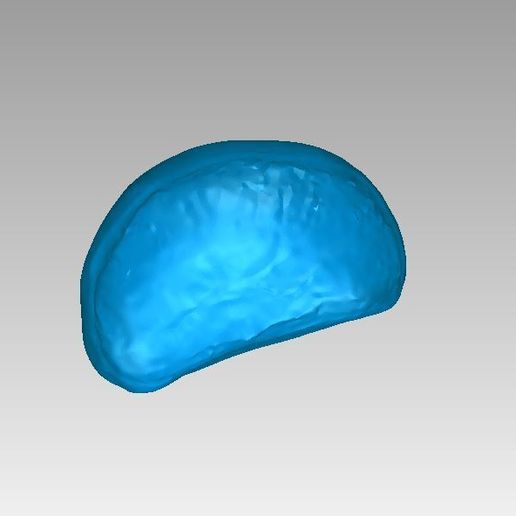 e.jpg chestnut 栗　HIGH QUALITY 3D 　SCAN　fruit　SCANNER:ATOS