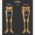 Human_Skeleton_Male_v_Female_02.png La Catrina (female skeleton) and El Catrin