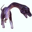 PLOO.jpg DOWNLOAD Brachiosaurus 3D MODEL ANIMATED - BLENDER - 3DS MAX - CINEMA 4D - FBX - MAYA - UNITY - UNREAL - OBJ -  Animals & creatures Fan Art DINOSAUR PREHISTORIC Saurisquios Camarasaurio Nigersaurus Titanosaurus Antarctosaurus Antarctosaurus  Shunosaurus