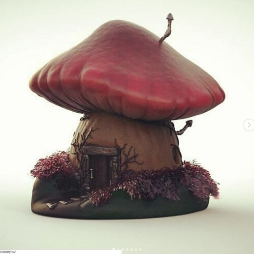 Casita Hongo - mushroom house
