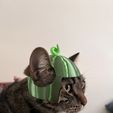Watermelon-Hat-2.jpeg 🍉🍉Sombrero de gato de sandía 🍉🍉