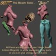 Image12.jpg The Beach Bond – Honey n Jinx – by SPARX