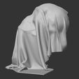 Képernyőkép-2023-09-26-184828.jpg Invisible hidden ghost skull in cloth - two types