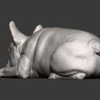 French-Bulldog6.jpg French Bulldog 3D print model