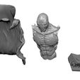 0017.jpg SPAWN FOR 3D PRINT FULL HEIGHT AND BUST