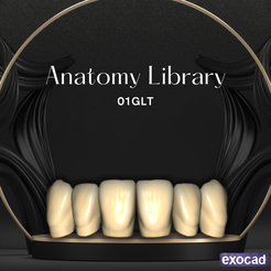 01GLT.png 3D-Datei Zahnärztliche Bibliothek 01GLT・3D-druckbare Vorlage zum herunterladen