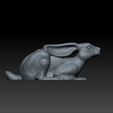 r1.jpg rabbit decorative - cute rabbit