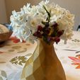 IMG_4828.jpeg Multi-faceted vase