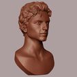 15.jpg Timothee Chalamet bust sculpture 3D print model