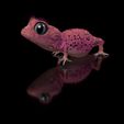 Nephriri0000.jpg Nephriri Pink Gecko-Lady- Fantasy- with Full-Size-Texture + Zbrush Original-High-Polygon- STL 3D-Print-File