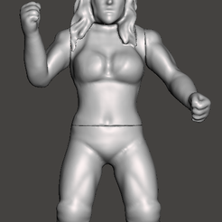 li.png Fichier OBJ wwf wwe aew ecw wcw retro・Design pour imprimante 3D à télécharger