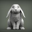 rabbit-ram3.jpg Rabbit ram 3D print model