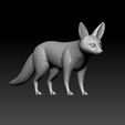 fenn1.jpg Fennec fox - fennec fox 3d model