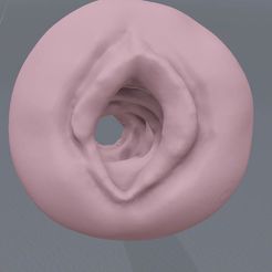 zxc2_2020-03-07_01-55-15.jpg Fichier STL Masturbateur mâle VAGINA MULTI TEXTURE・Design pour imprimante 3D à télécharger