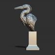 23.jpg Grey Heron bust