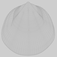 image-8.png Fan Shape Shell